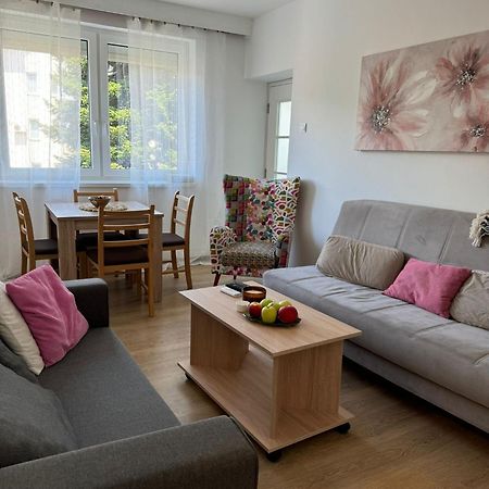 Apartman Marina Centar Apartment Vrnjacka Banja Luaran gambar